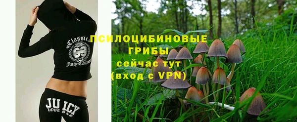 ешки Новый Уренгой